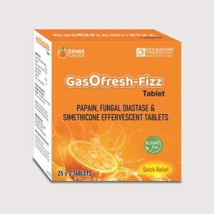 Gasofresh Fizz Tablet